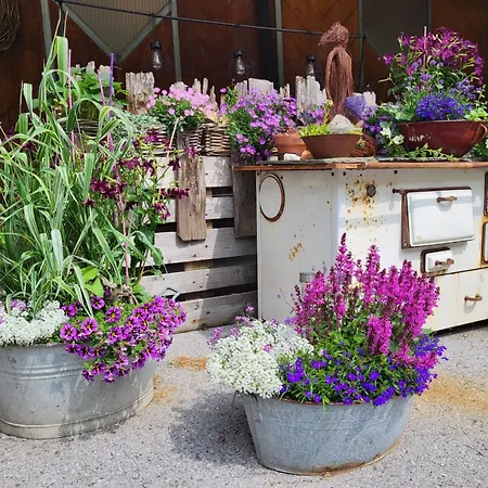 Daire Michael By Interhome *